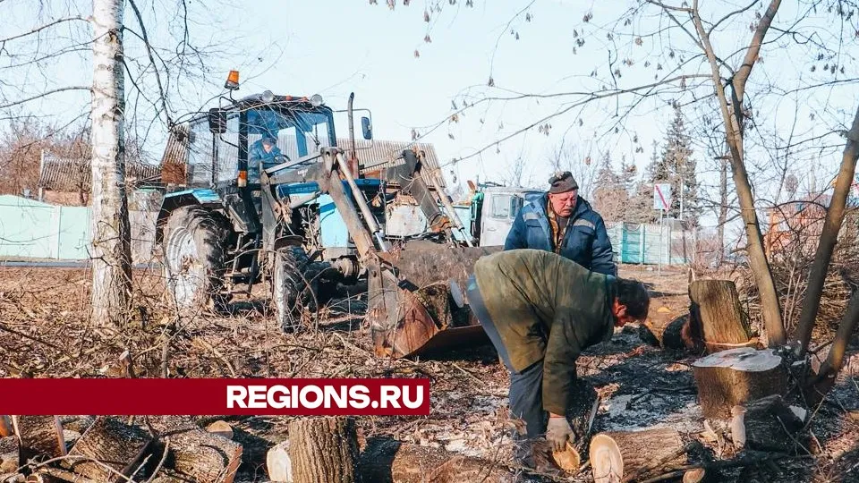 Фото: МедиаБанк Подмосковья/Данила Кирьянов