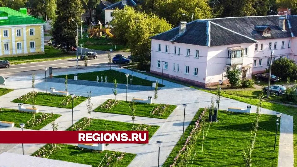Фото: Министерство благоустройства Московской области