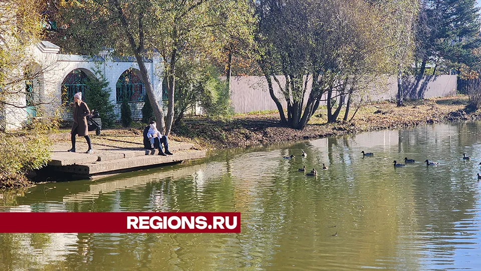 Фото: Роман Савельев
