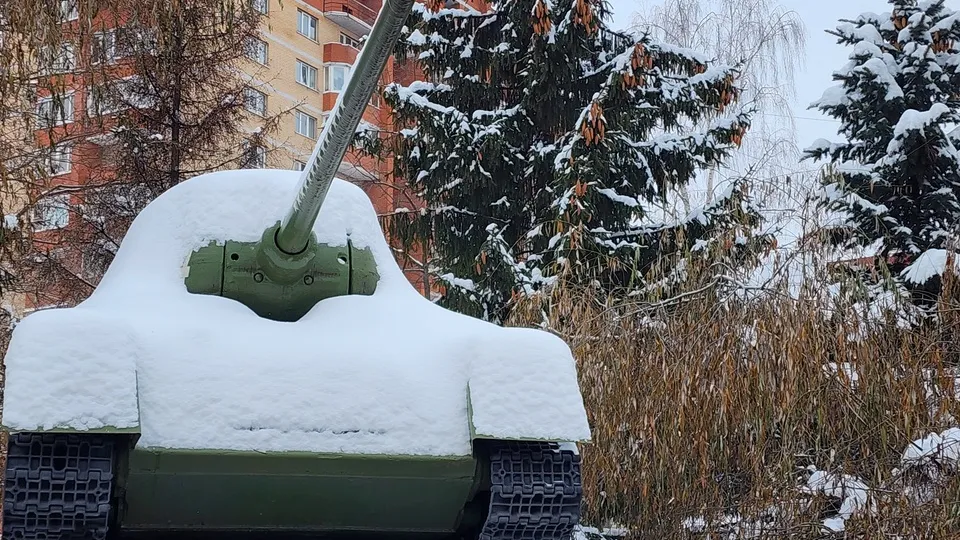 Фото: МедиаБанк Подмосковья/Ольга Фельдфебелева