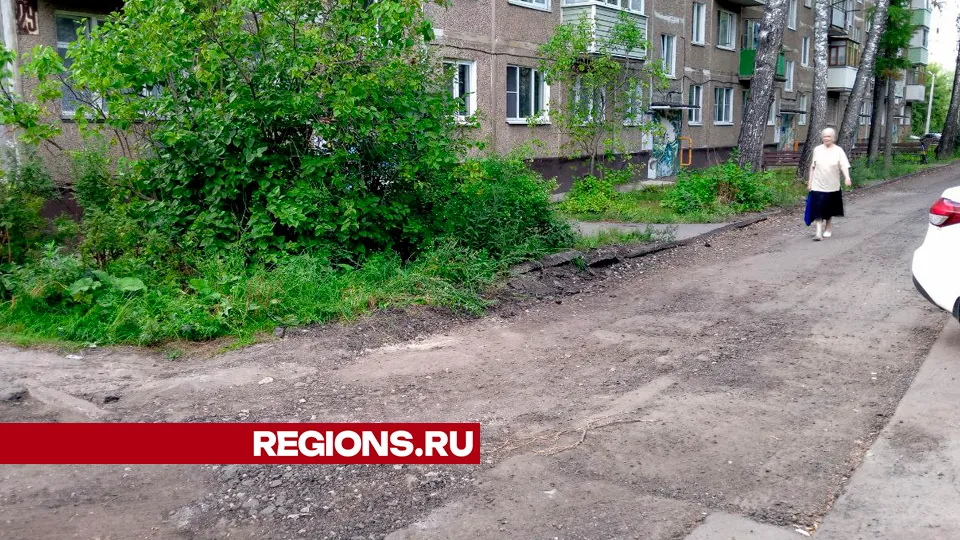 Фото: REGIONS/Василий Тремасов