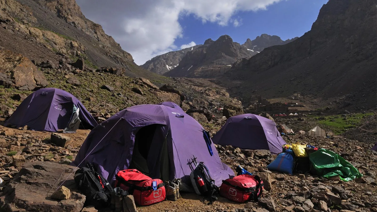 Egmont Strigl