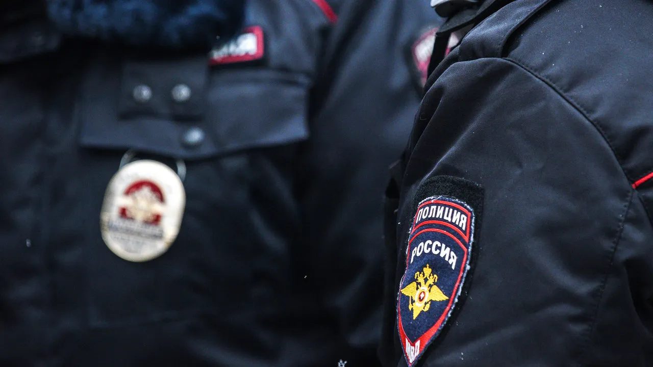 Фото: Медиаархив Подмосковья