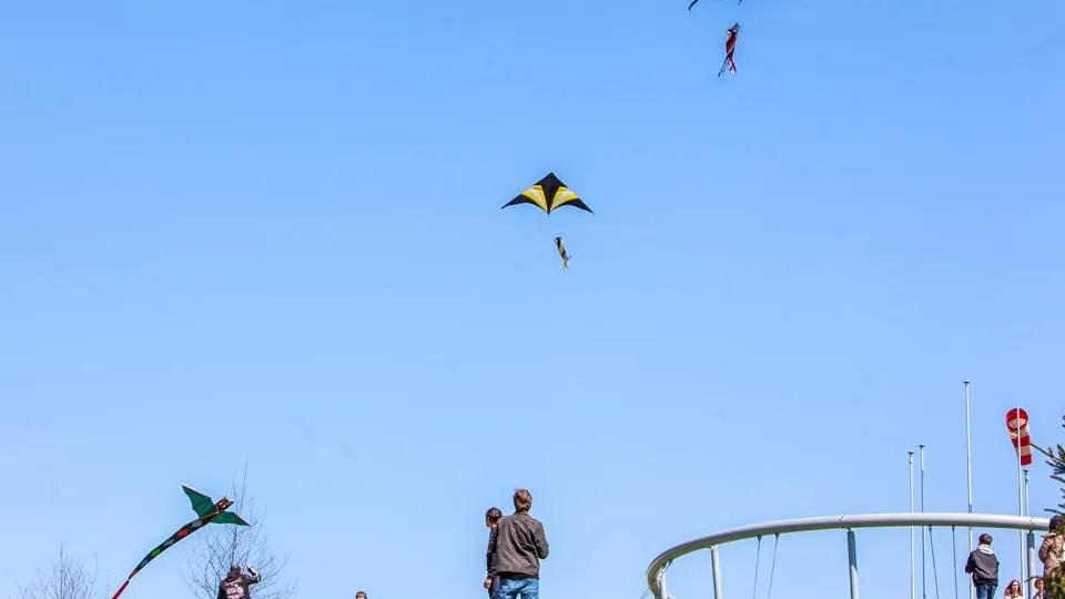 Фото: REGIONS/Роман Малышенко