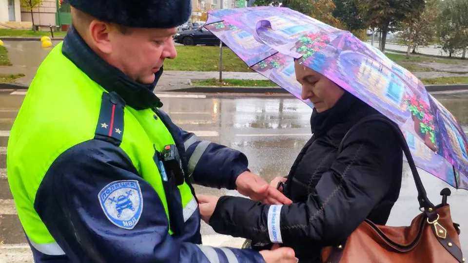 Фото: Госавтоинспекция Московской области