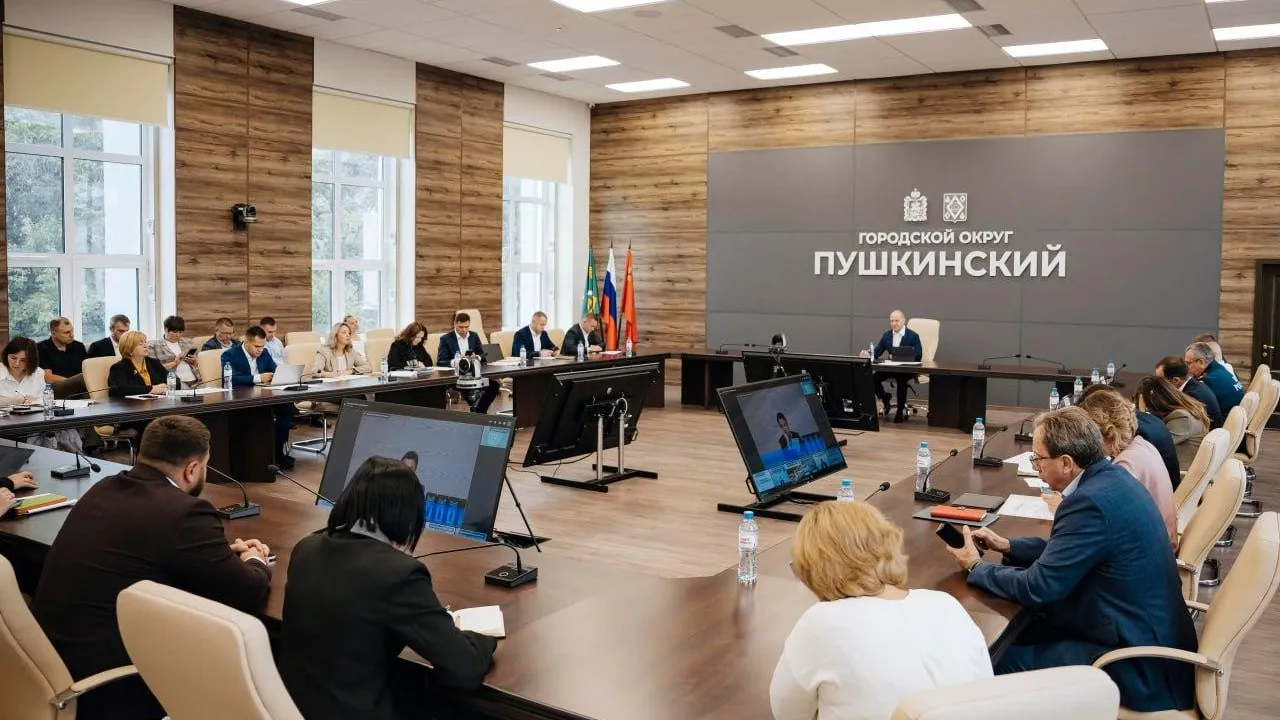 Городской округ Пушкинский практически полностью перешел на собственное содержание территорий