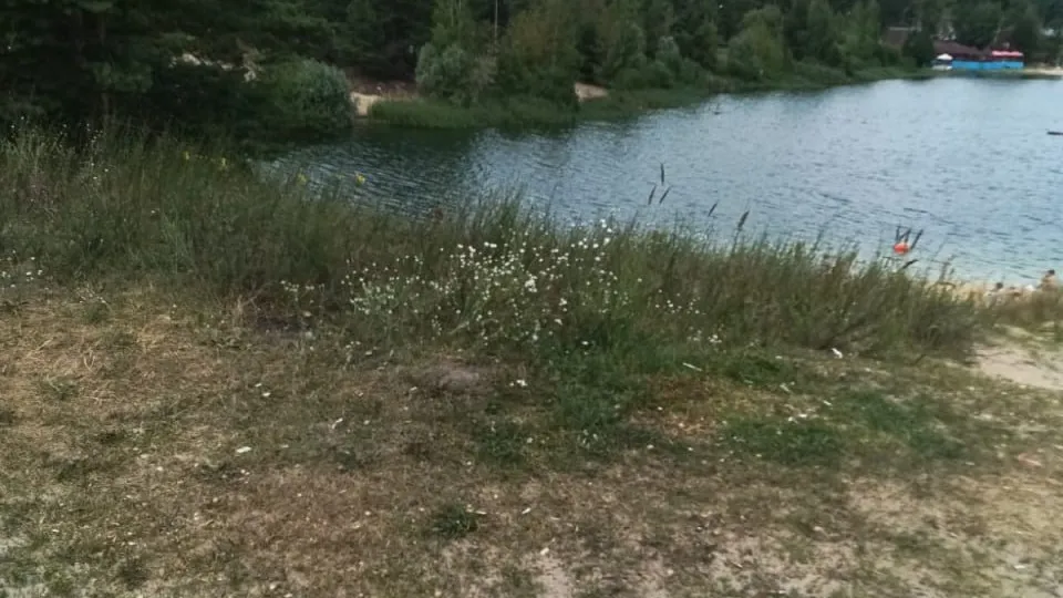 Фото: пресс-служба администрации городского округа Луховицы