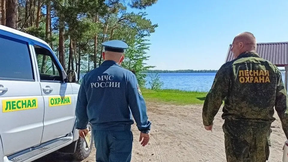 Фото: Комитет лесного хозяйства Московской области