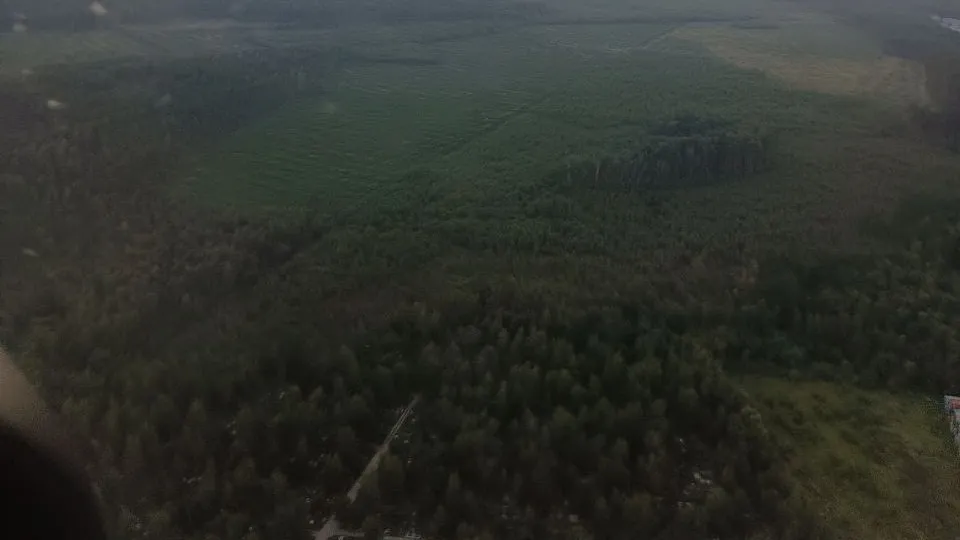 Фото: Комитет лесного хозяйства Московской области