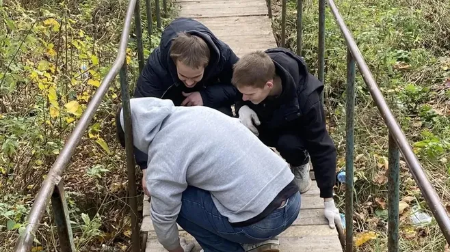 Картинка