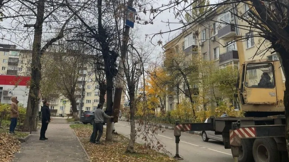 Фото: Пресс-служба администрации городского округа Лыткарино