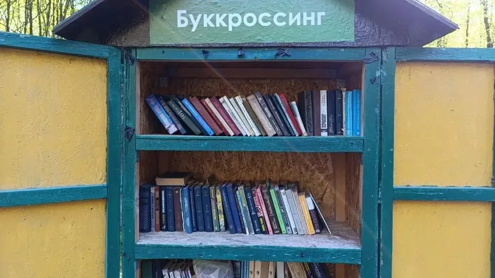 Картинка