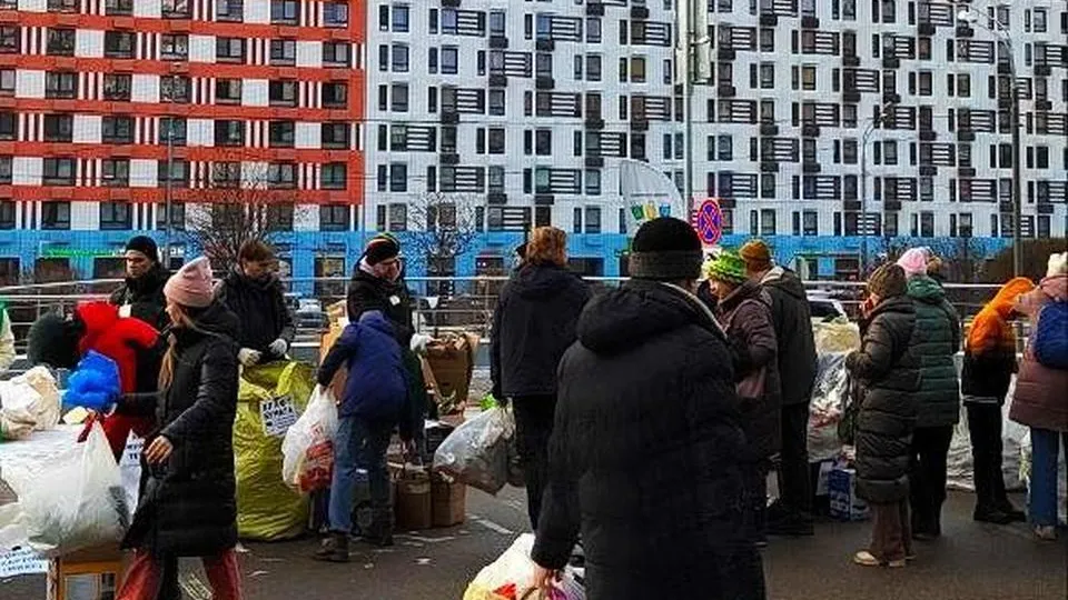 Картинка