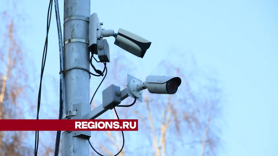 Фото: Алексей Грызлов