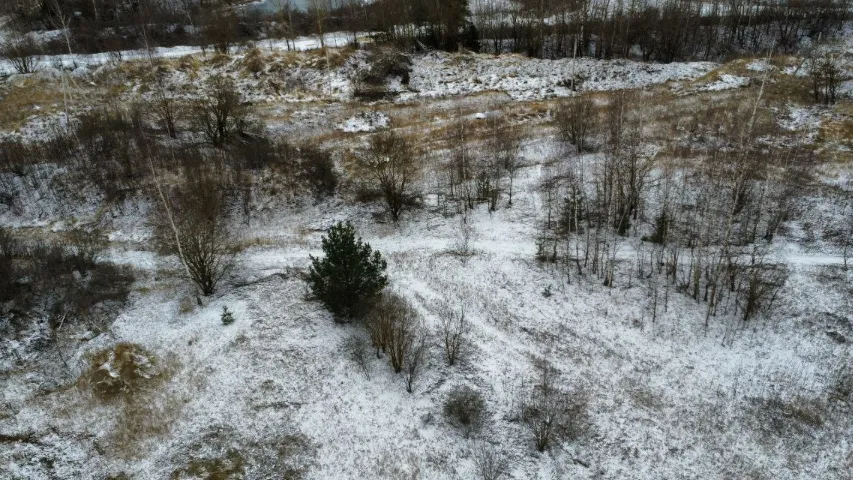 Фото: Комитет по конкурентной политике Московской области