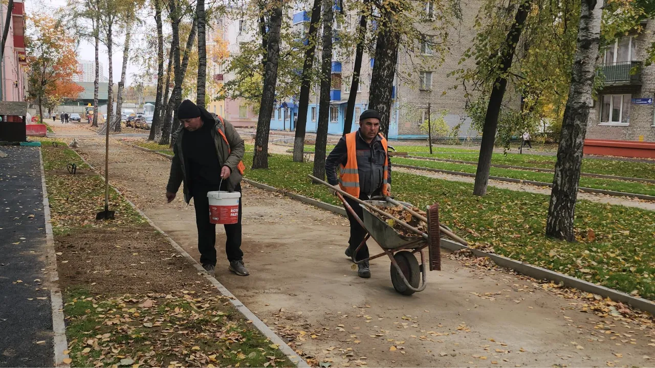 Картинка