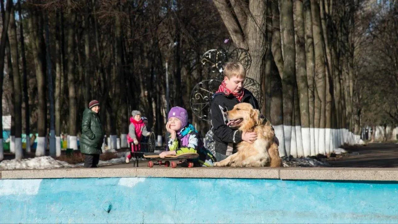 Картинка