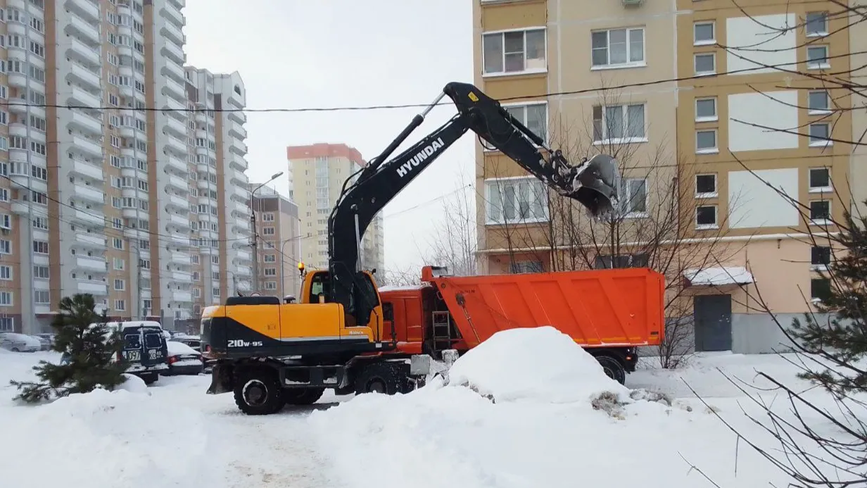Фото: Валерия Тингаева