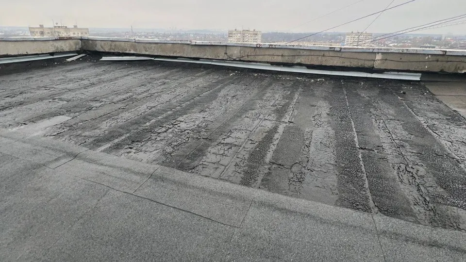 Фото: МЦУР Жуковский