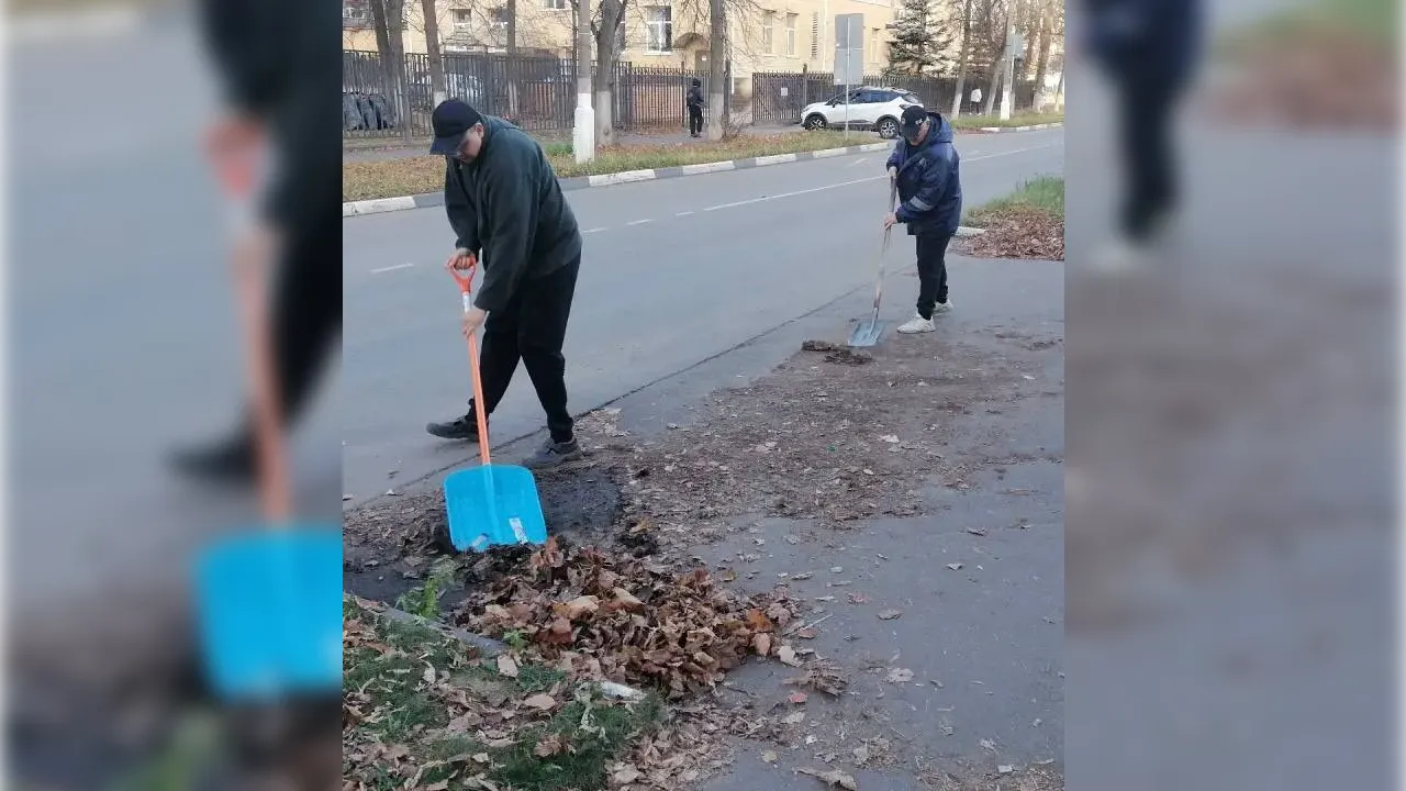 Картинка