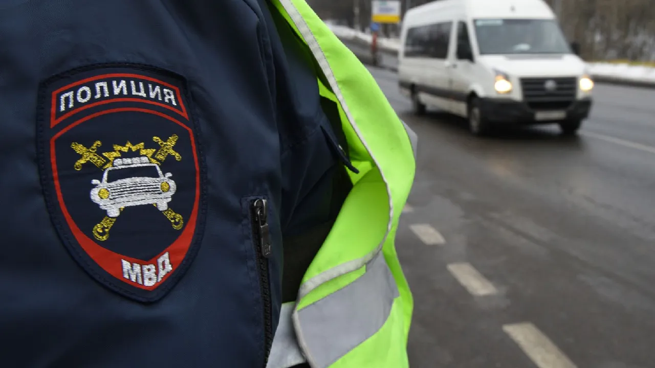 Фото: Медиаархив Подмосковья