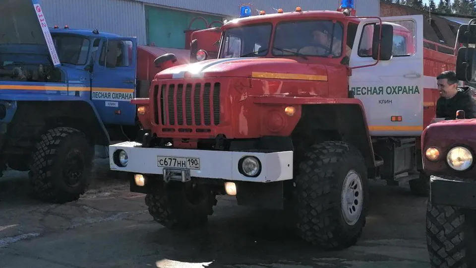 Фото: Комитет лесного хозяйства Московской области
