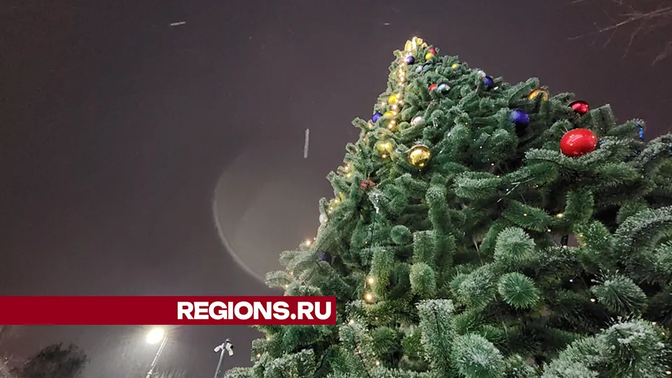 Фото: Юлия Андросова