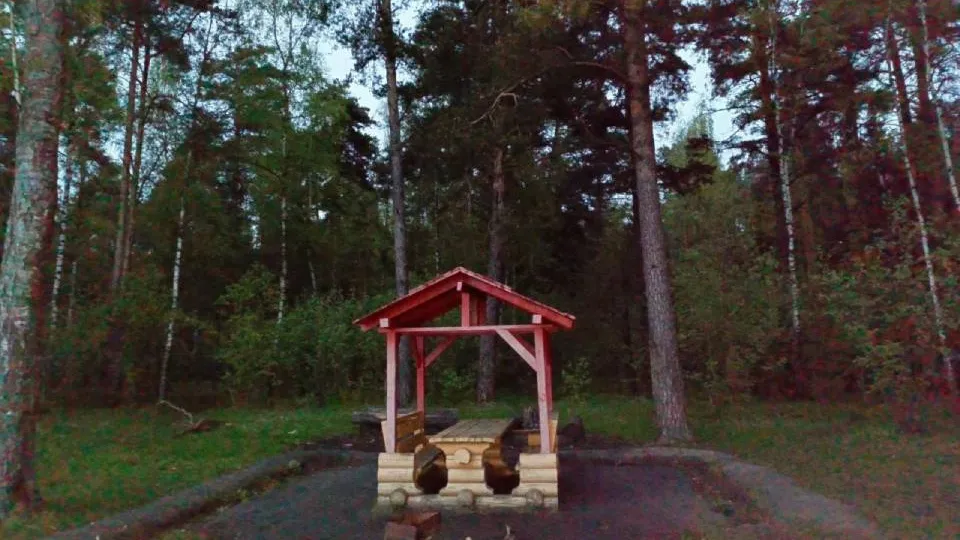 Фото: соцсети