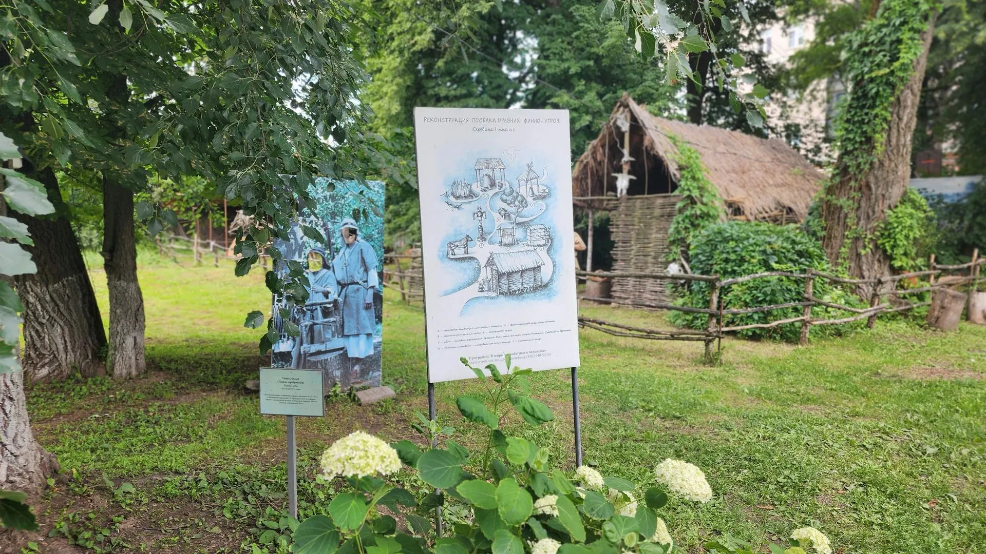 Картинка