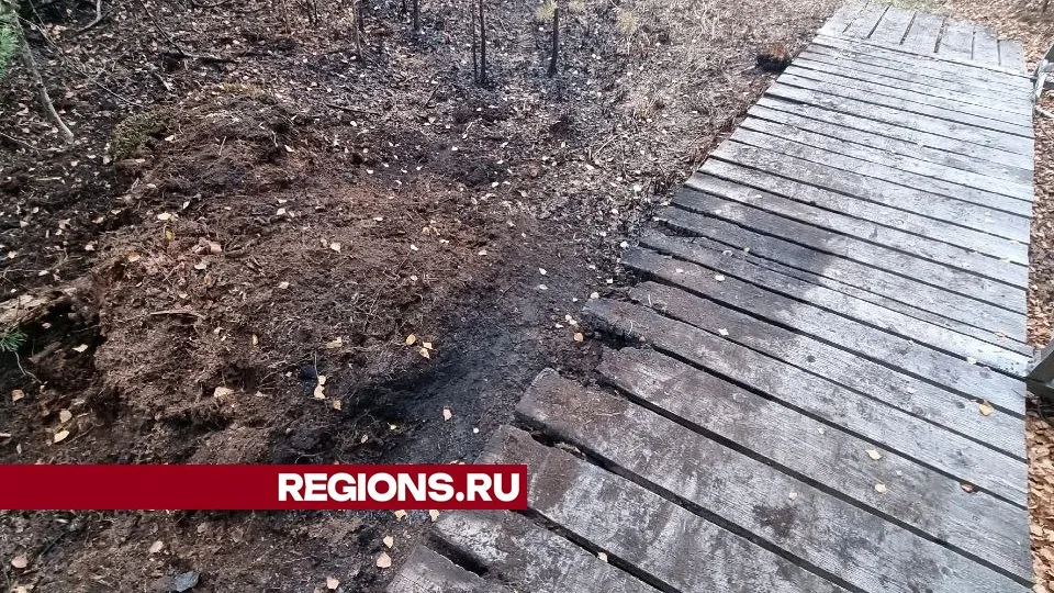 Фото: предоставлено REGIONS Ольгой Гринченко