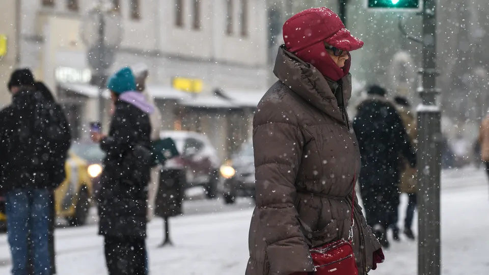 Фото: медиасток.рф