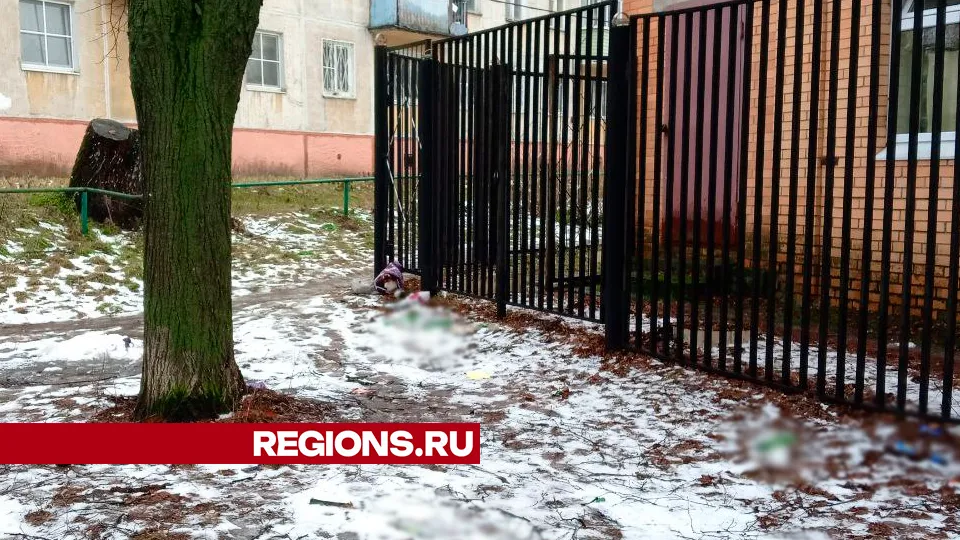 Фото: REGIONS/Василий Тремасов