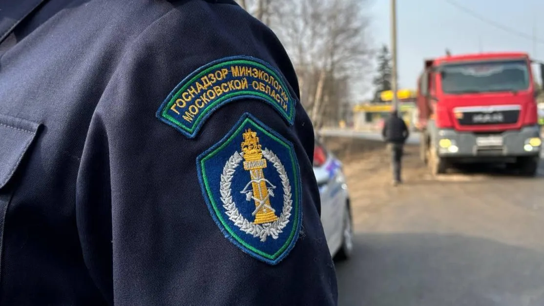 Фото: Министерство экологии и природопользования Московской области