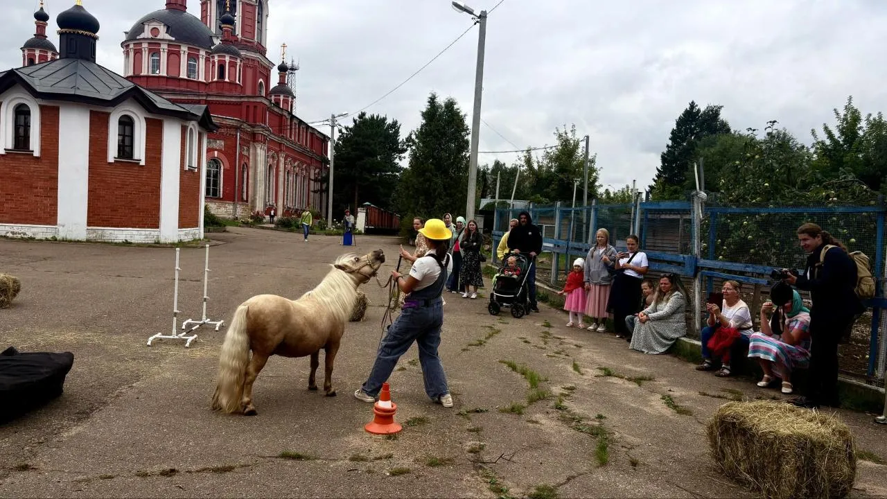 Картинка