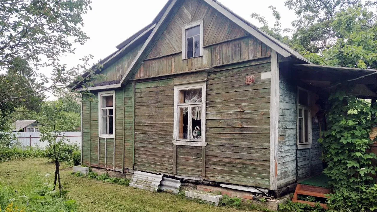 Картинка