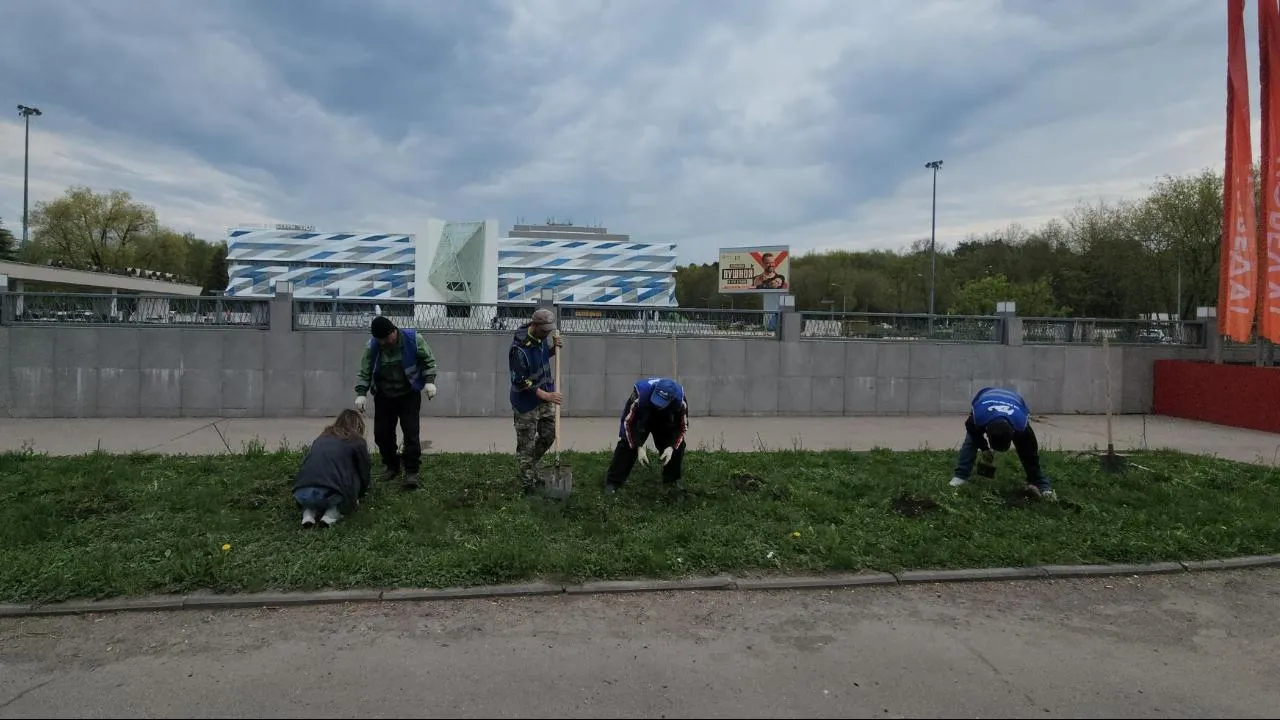 Картинка