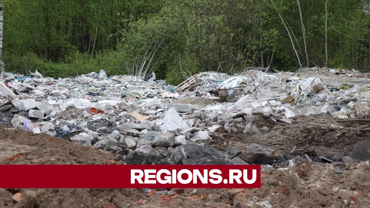 Фото: Regions / Василий Тремасов