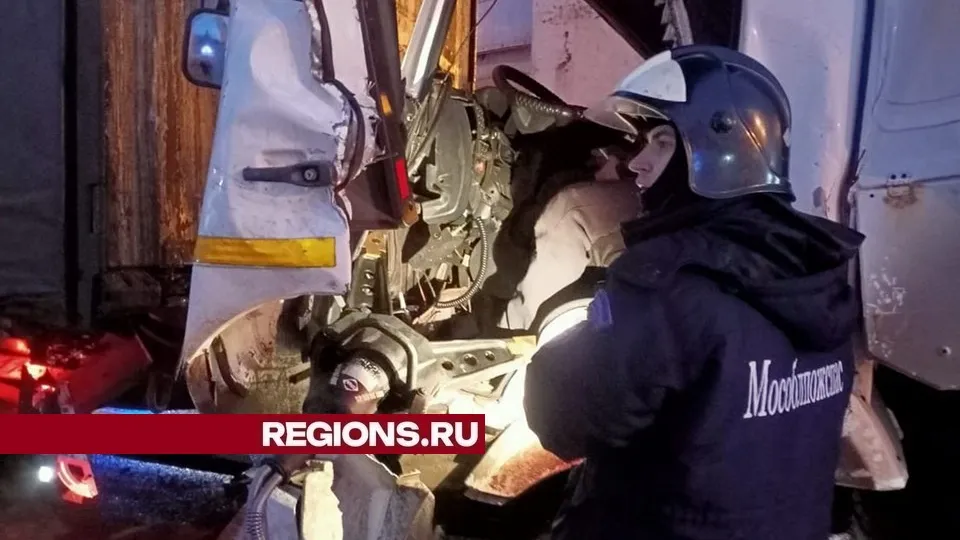 Фото: ГКУ МО «Мособлпожспас»