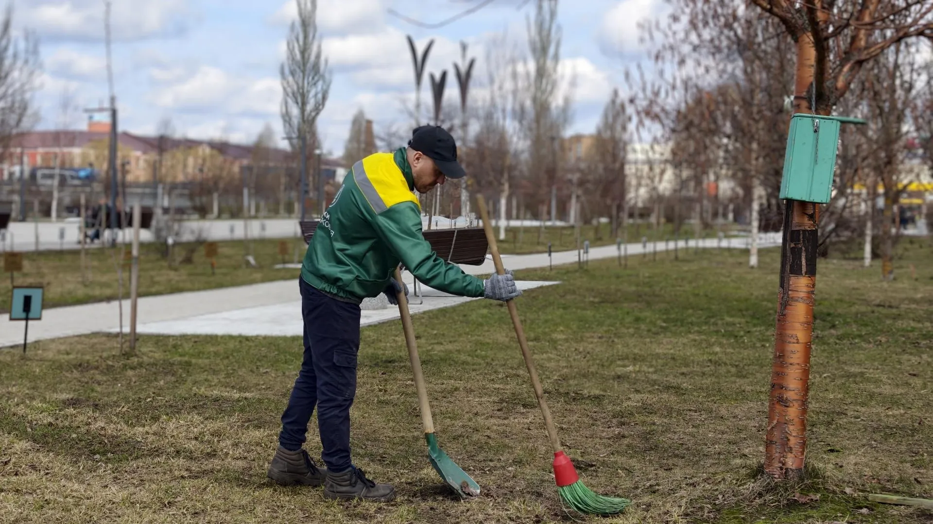 Картинка