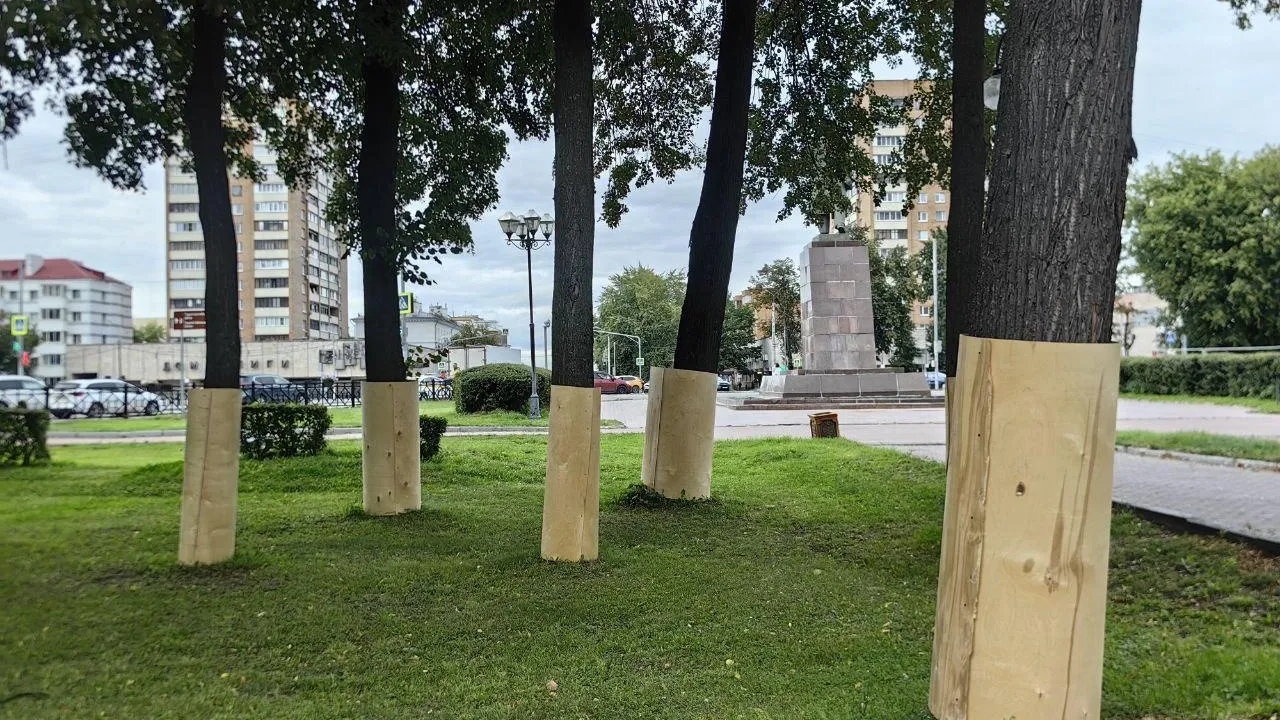 Фото: пресс-служба администрации г.о. Подольск