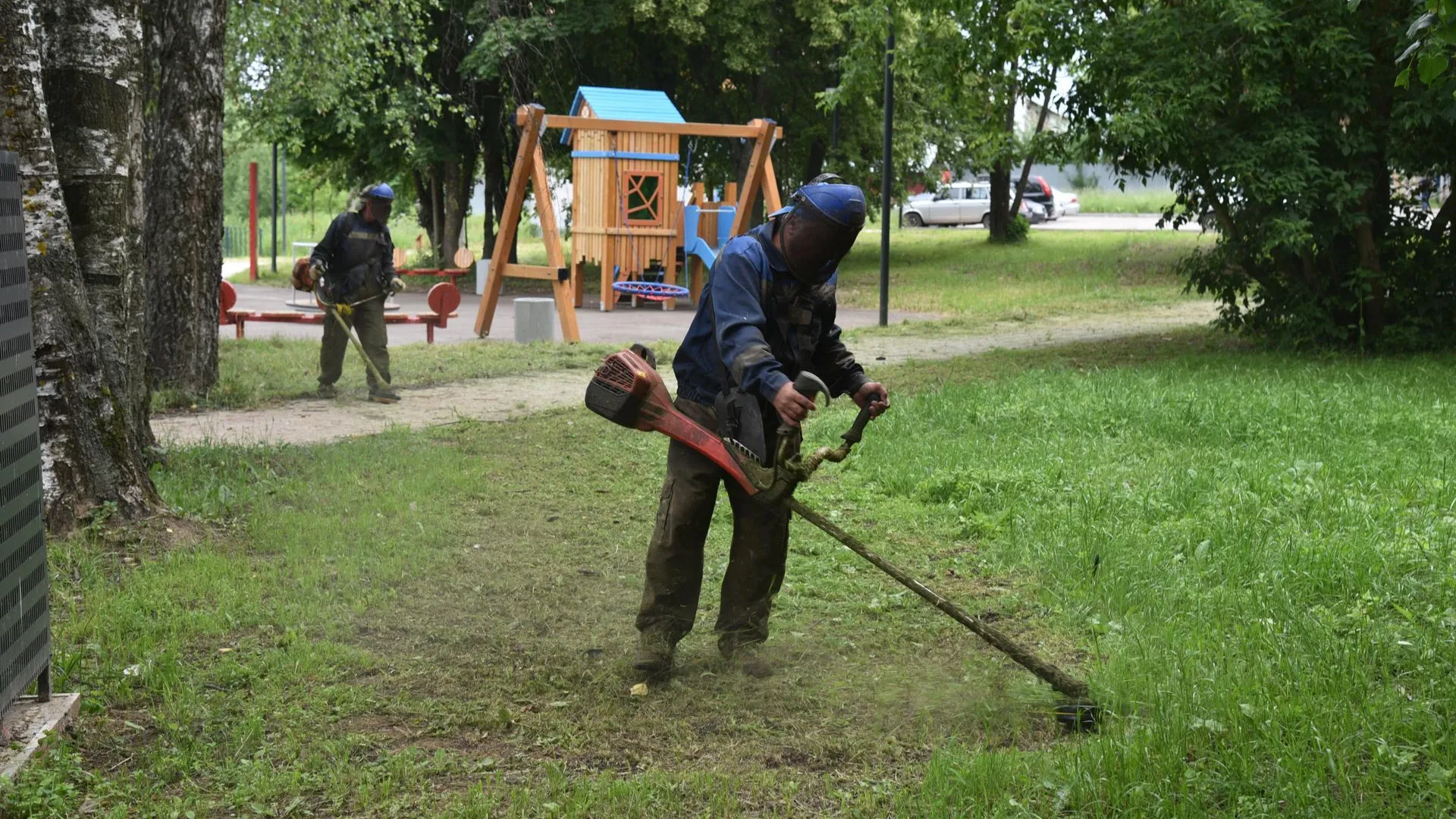 Картинка