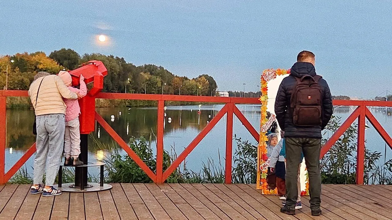 Картинка