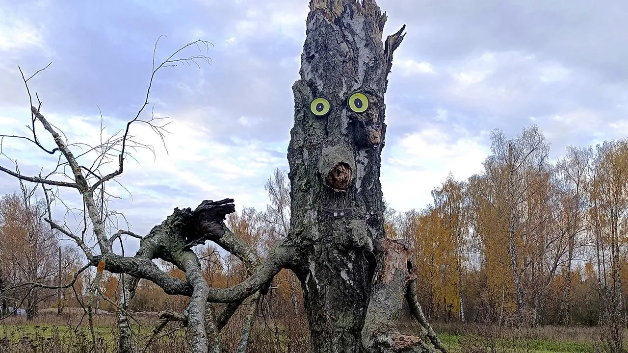 Картинка