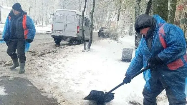 Картинка