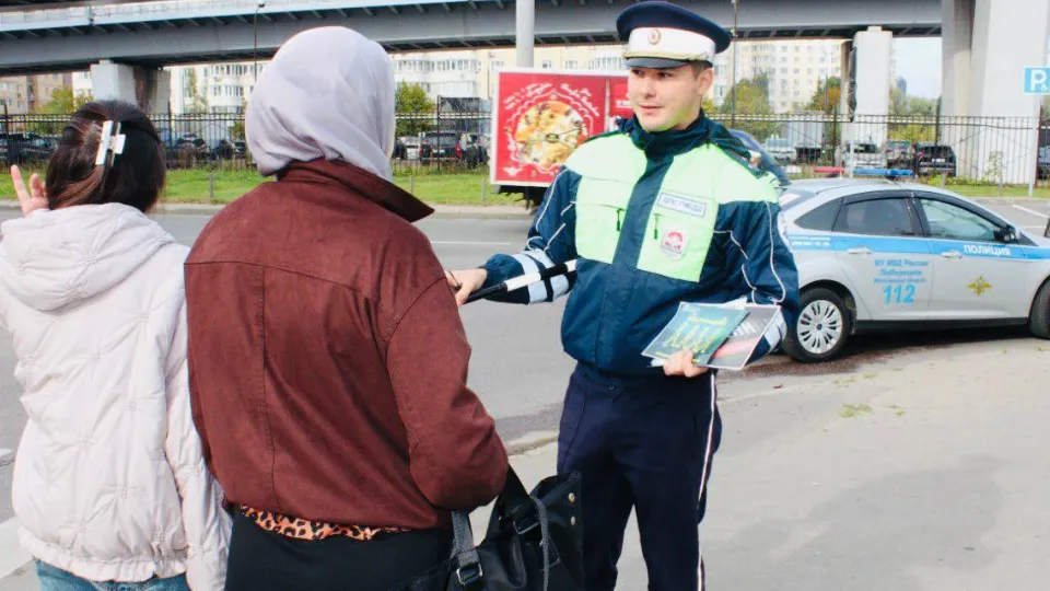Фото: Госавтоинспекция Московской области