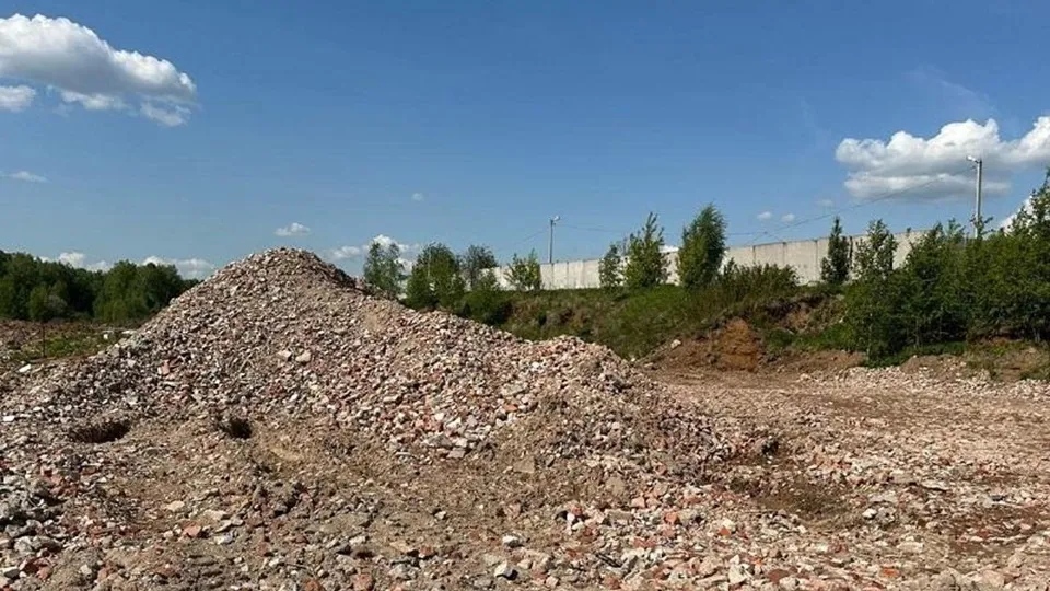 Фото: Министерство экологии и природопользования Московской области