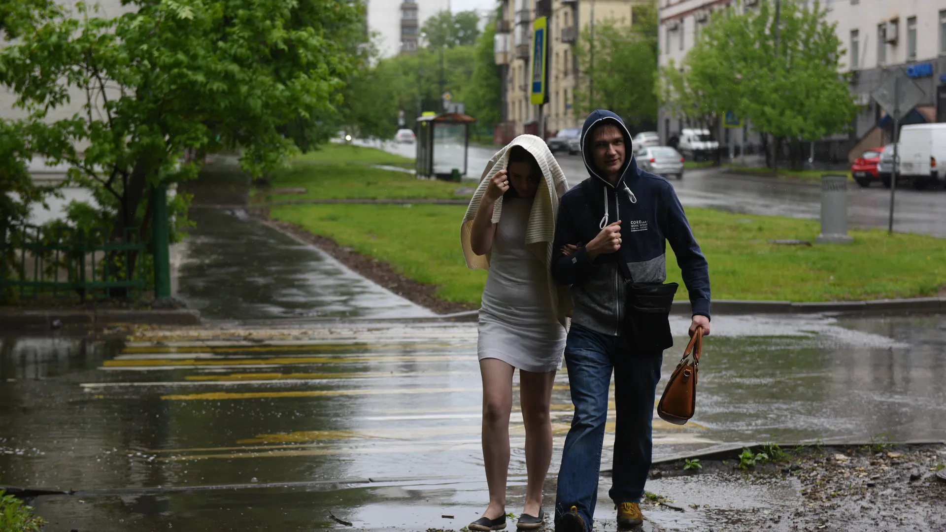 Последствия урагана в московском регионе