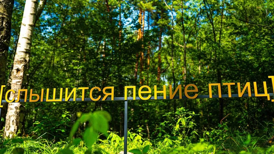 Фото: АНО «МосОблПарк»/Никита Гончаров