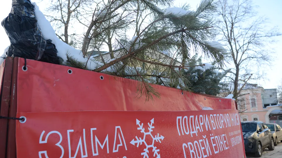 Фото: REGIONS/Нина Соколова