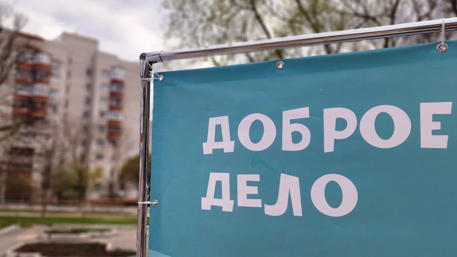Фото: МедиаБанк Подмосковья/Анна Мороз